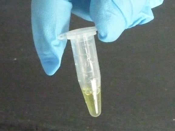 DNA溶液の写真