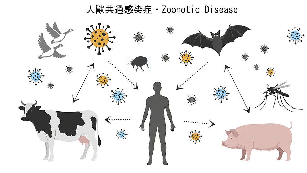 人獣共通感染症（zoonotic-disease）のイメージ図