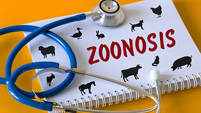 人獣共通感染症のPCR事例