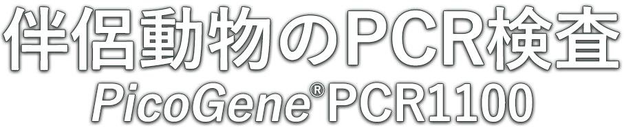 伴侶動物のPCR検査