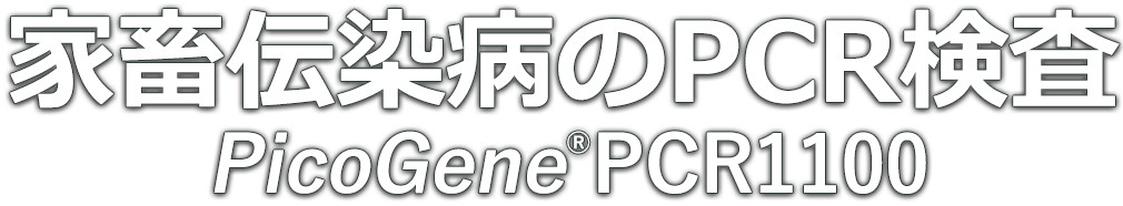 家畜伝染病のPCR検査